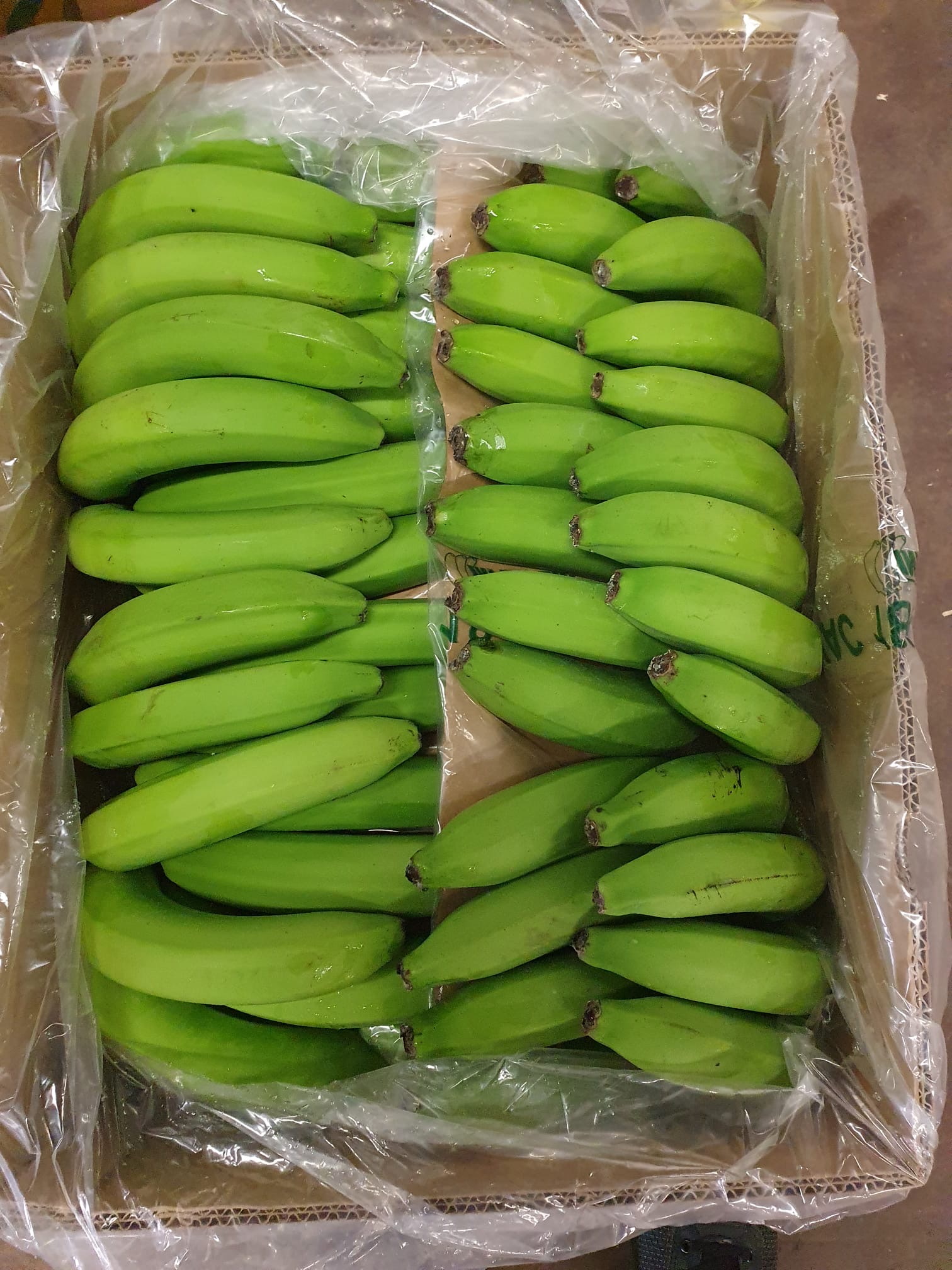 Banane carton