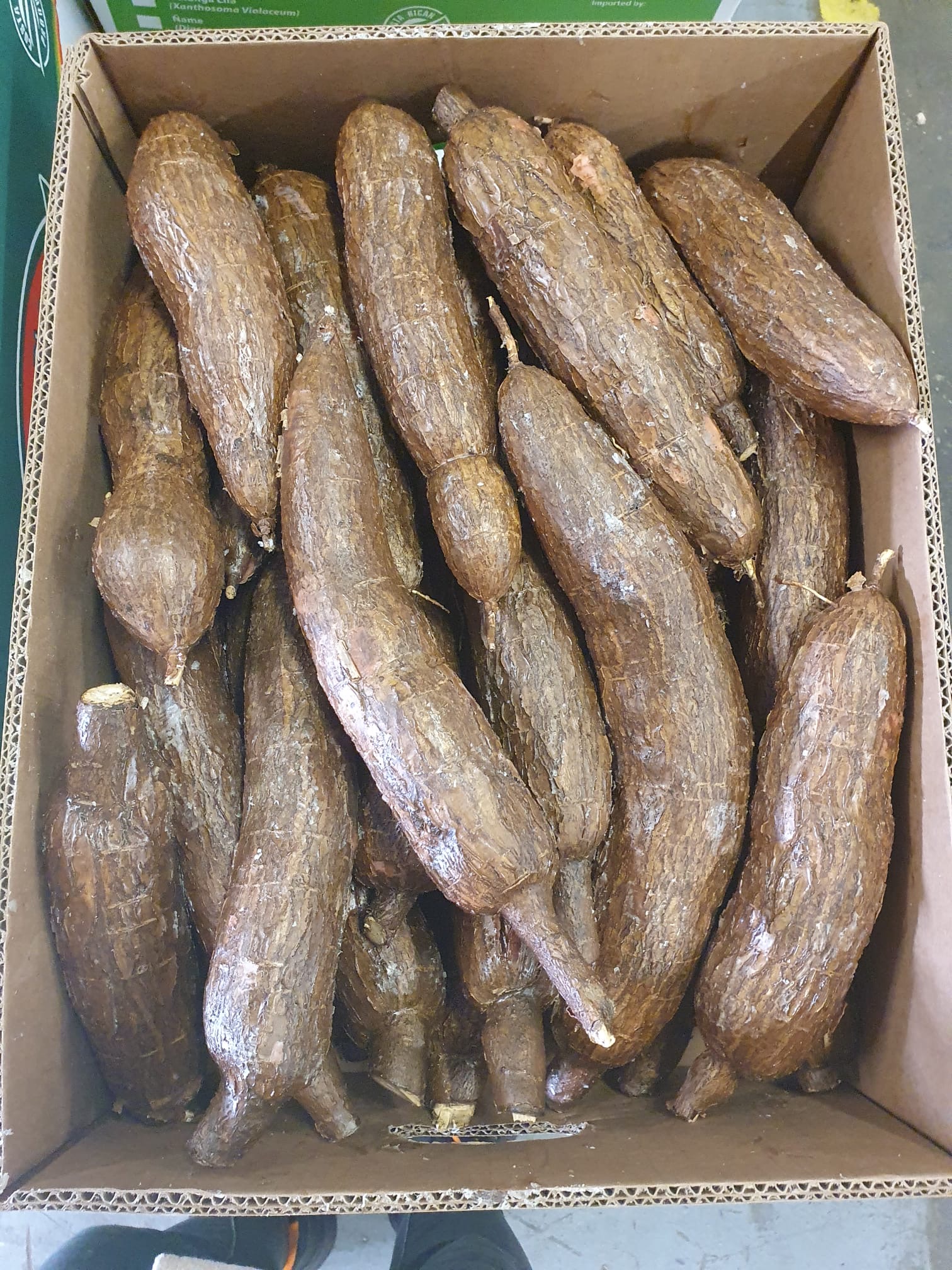 Manioc carton