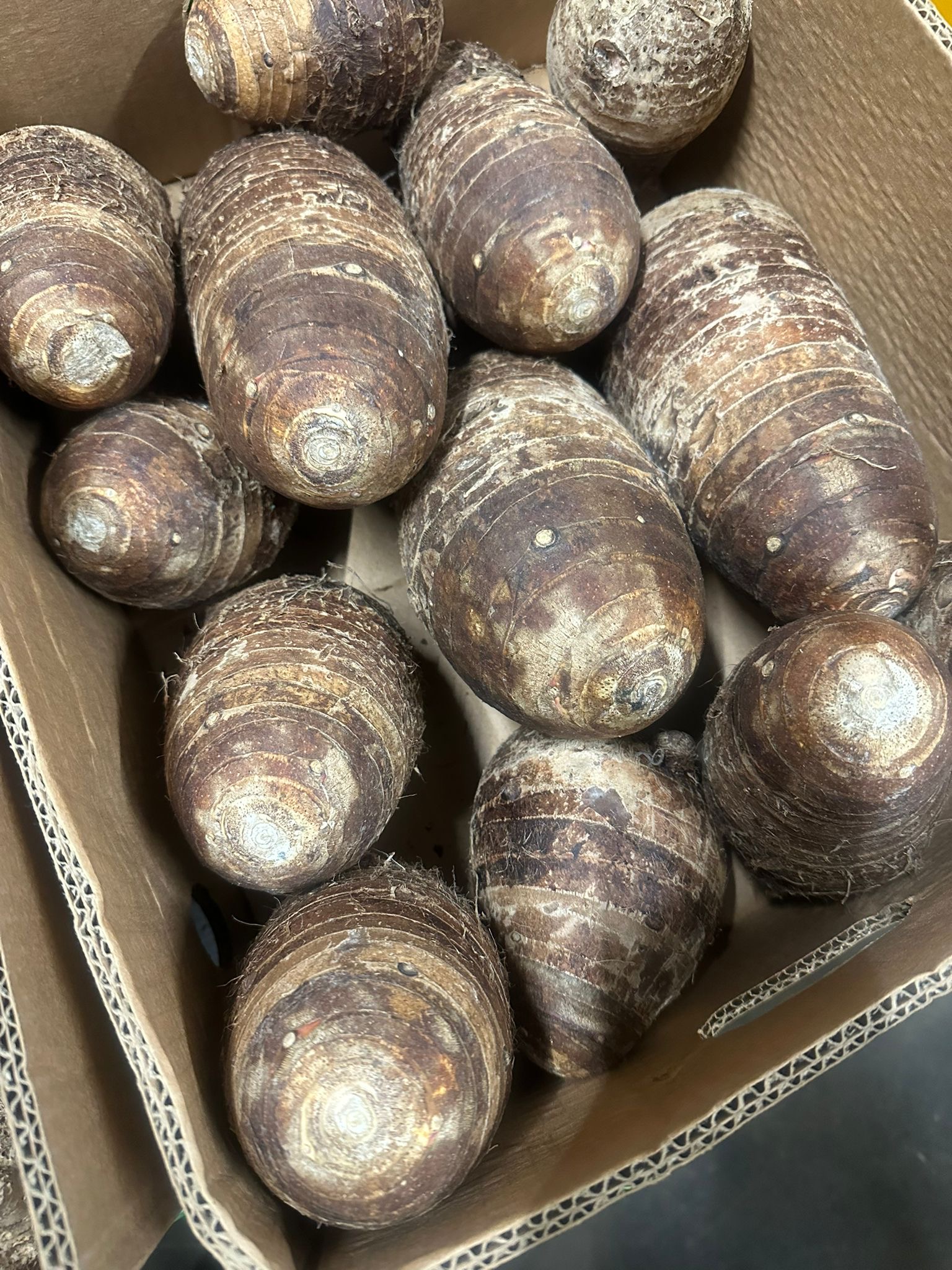 Taro