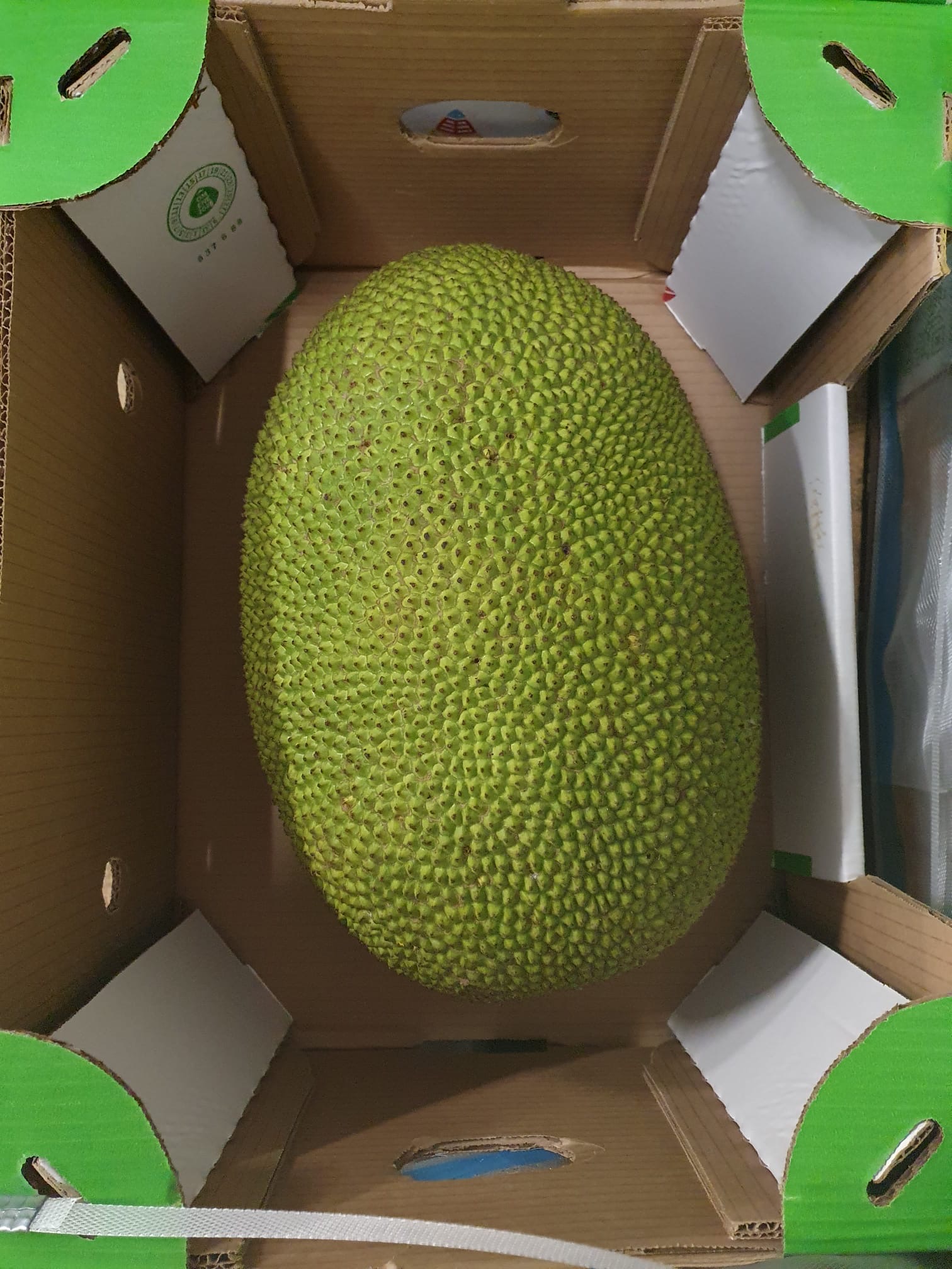 Fruit à Jacques