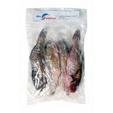 Poisson perroquet