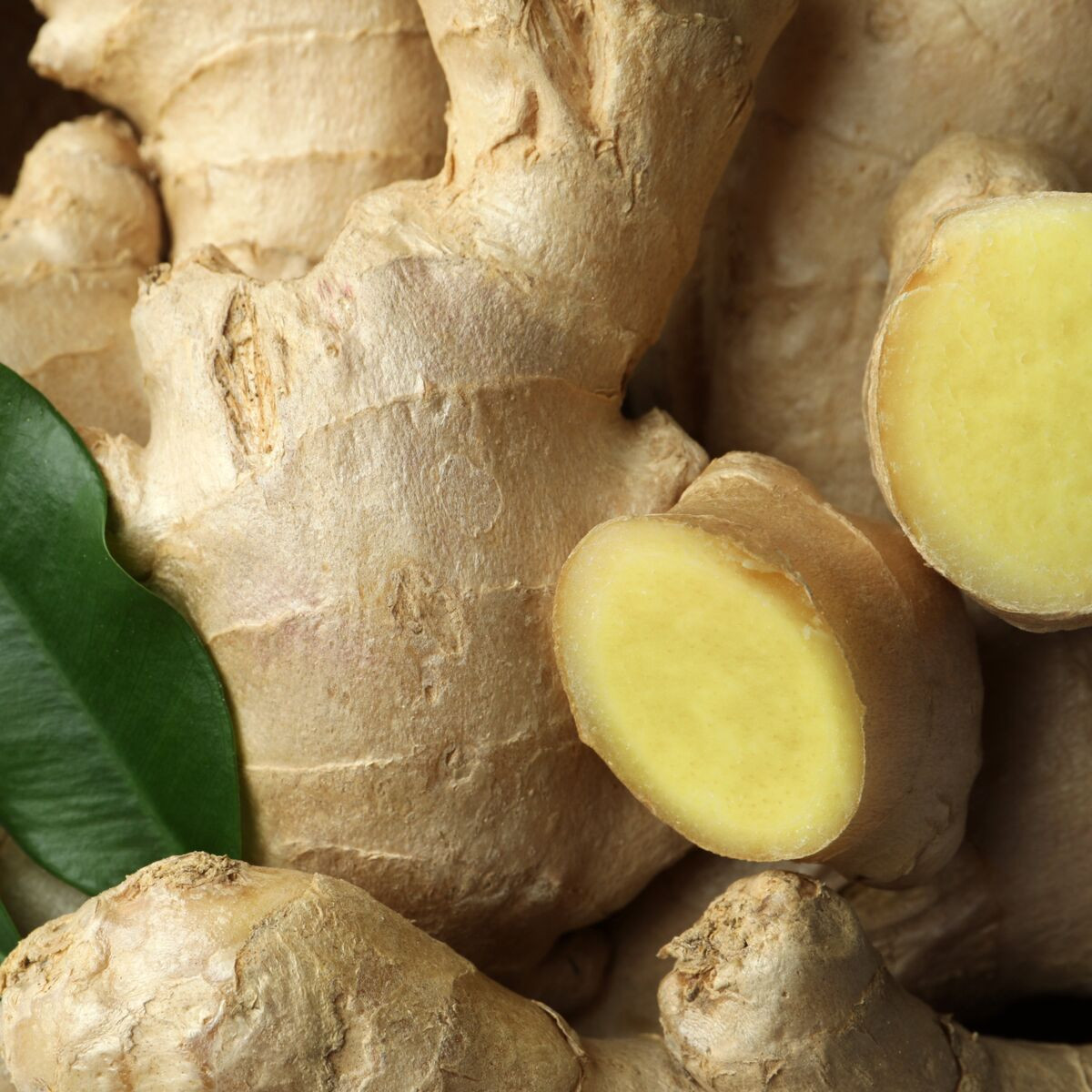 GINGIMBRE