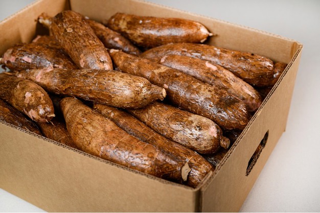 MANIOC CARTON