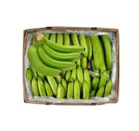BANANES VERTES CARTON