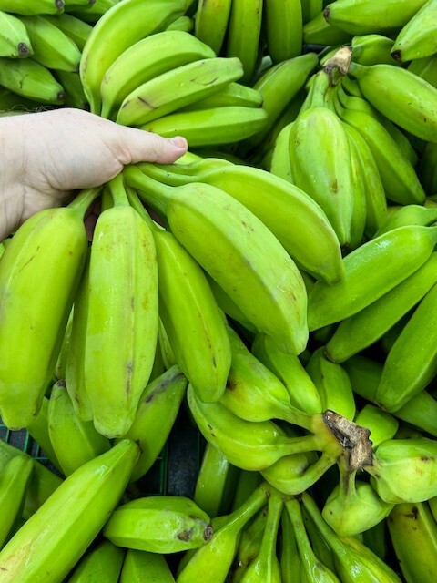 BANANE TAI