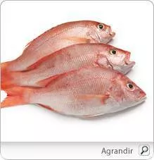 VIVANEAU