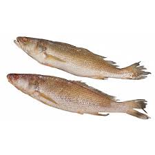 POISSON COURBINES