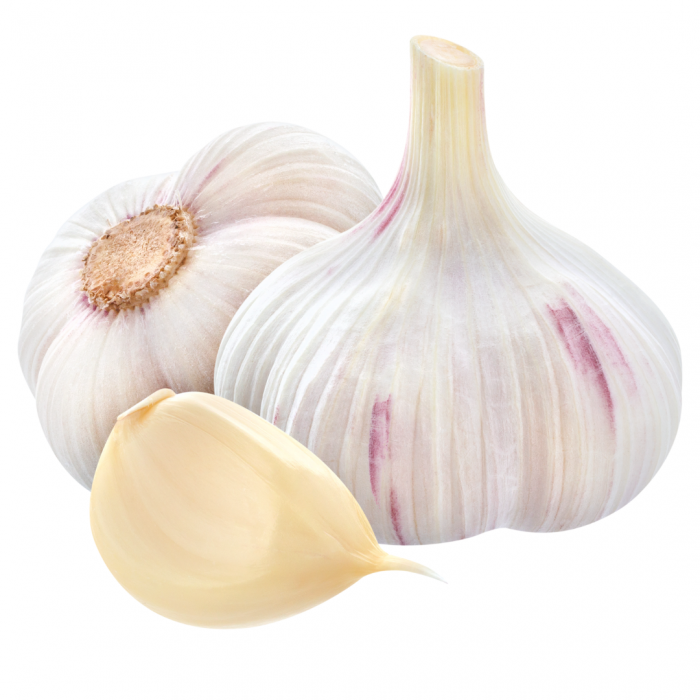AIL FILET