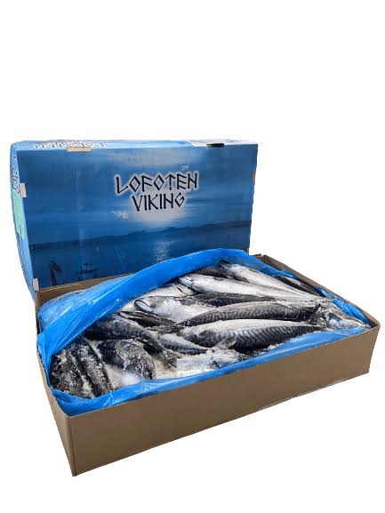 CARTON MAQUEREAUX 10KG