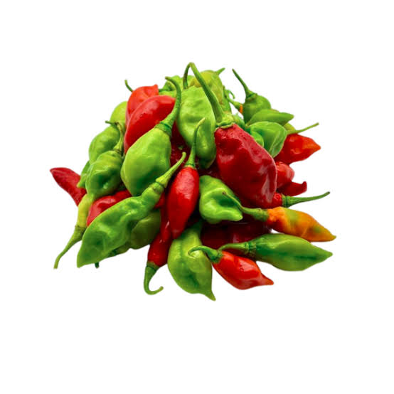 PIMENT VEGETARIEN