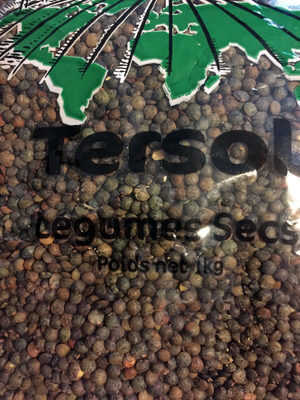 LENTILLES BRUNES 