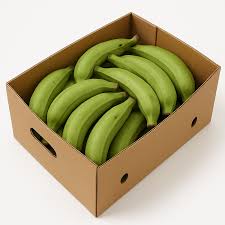CARTON BANANE BURRO