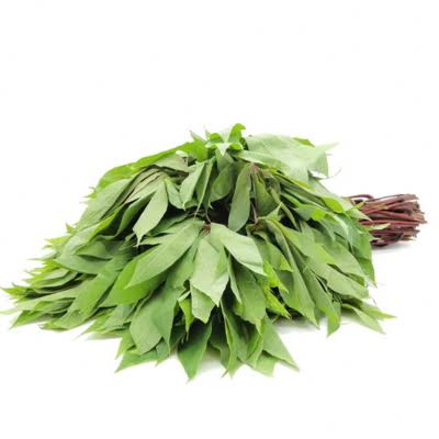 BREDE MATABA FELIQUE FEUILLE DE MANIOC