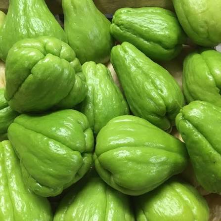 CHAYOTTE VERTE