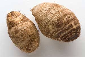TARO CARTON